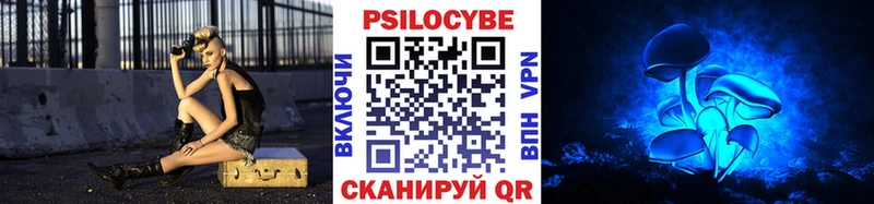 нарко площадка клад  где найти   Грозный  Псилоцибиновые грибы Magic Shrooms 