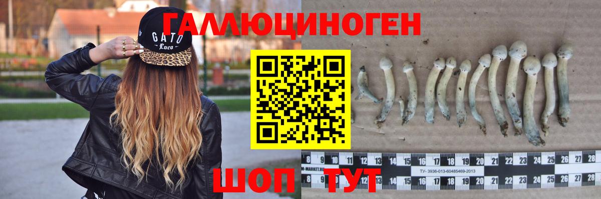 Псилоцибиновые грибы Cubensis  Вход с VPN  Грозный 